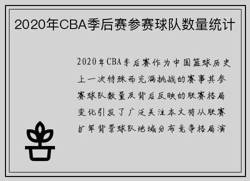 2020年CBA季后赛参赛球队数量统计