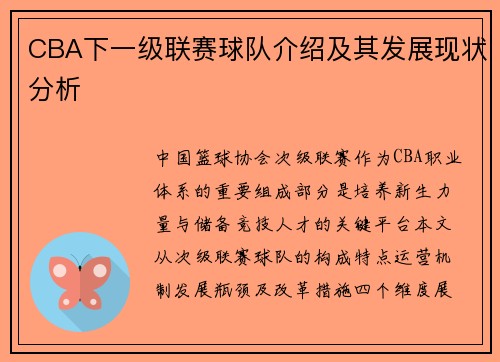 CBA下一级联赛球队介绍及其发展现状分析