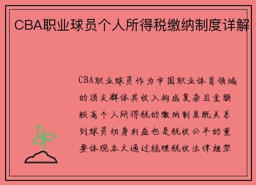 CBA职业球员个人所得税缴纳制度详解